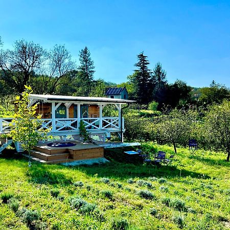 Bohemian Eco Lodge At Lake Balaton Kisapati Kültér fotó