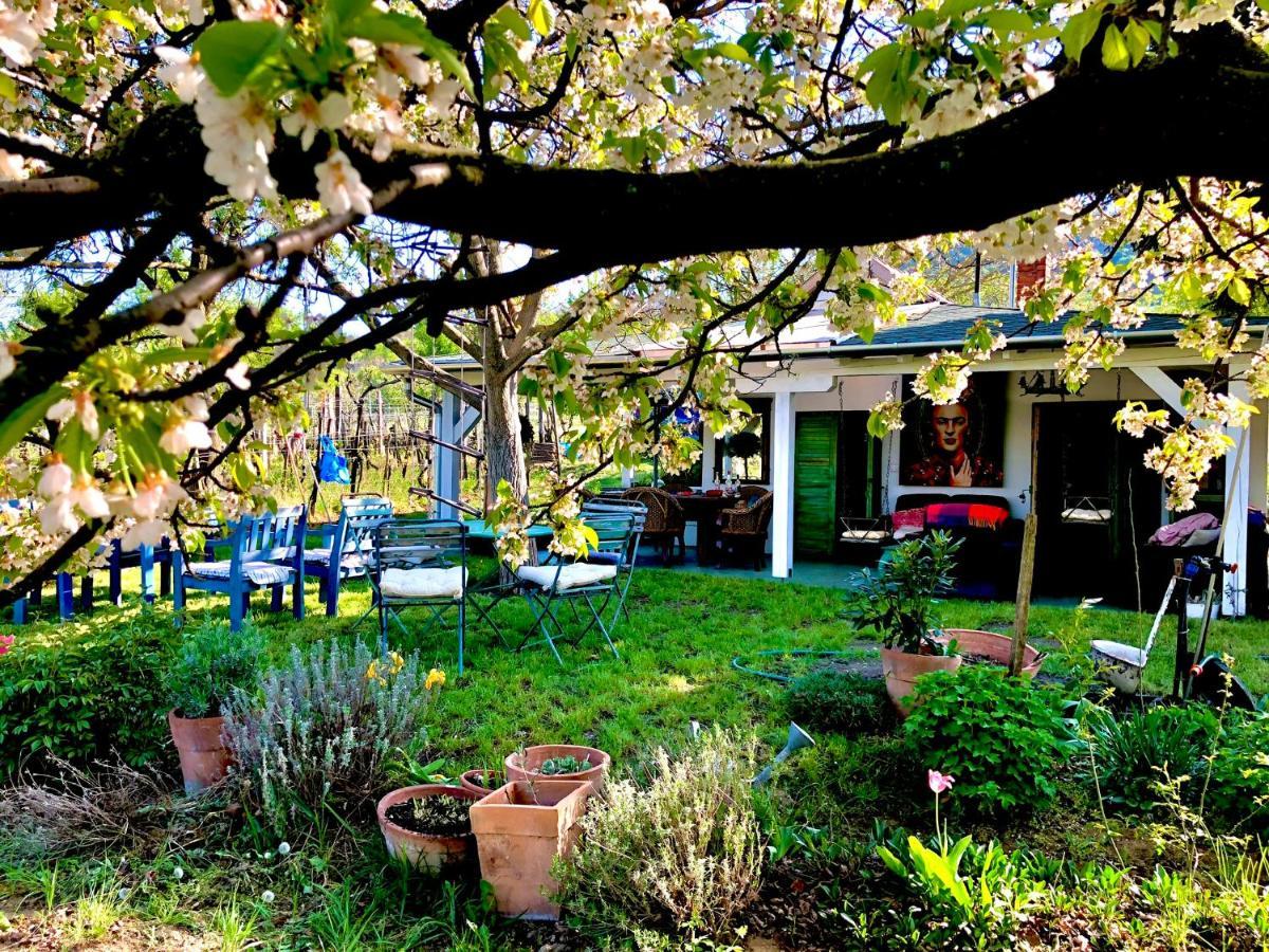 Bohemian Eco Lodge At Lake Balaton Kisapati Kültér fotó