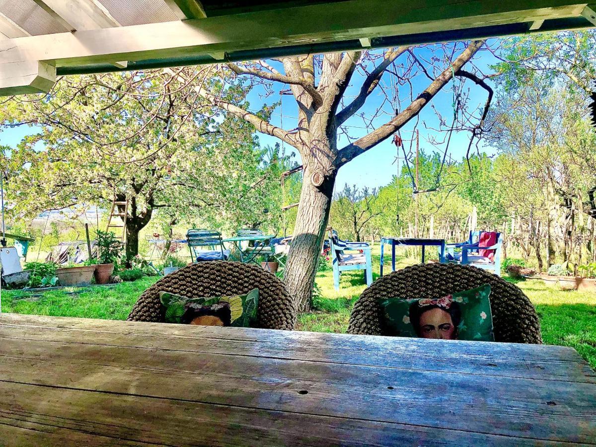 Bohemian Eco Lodge At Lake Balaton Kisapati Kültér fotó